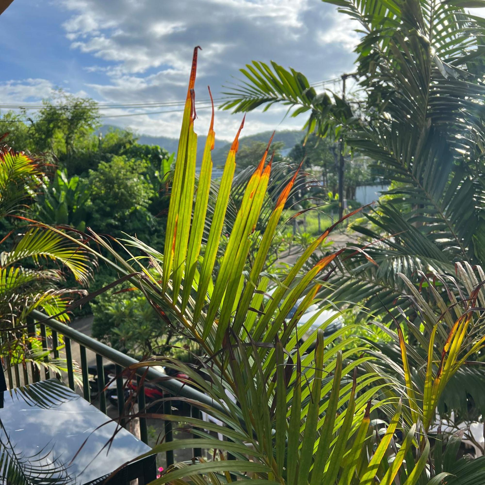 Kata Villa Merit Hill Bungalows Karon Ngoại thất bức ảnh